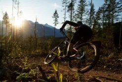 Shimano DEORE BR-M6100 Post-Mount G03S Brake Caliper Accessories | Bike-Discount 6 Shimano DEORE BR-M6100 Post-Mount G03S Brake Caliper Accessories | Bike-Discount -Shimano Riding SLorencePhoto Deore 002t3WHd1CH3iK0K 1280x1280