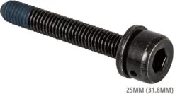 Shimano Fixing Bolt For Post-Mount To Flat-Mount Adapter Disc Brake Accessories | Bike-Discount 10 Shimano Fixing Bolt For Post-Mount To Flat-Mount Adapter Disc Brake Accessories | Bike-Discount -Shimano Riding Shimano 25mm Rahmenstarke Schraubenlange 31 8mm Y81743250 1280x1280